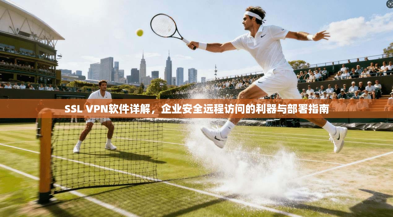 SSL VPN软件详解，企业安全远程访问的利器与部署指南