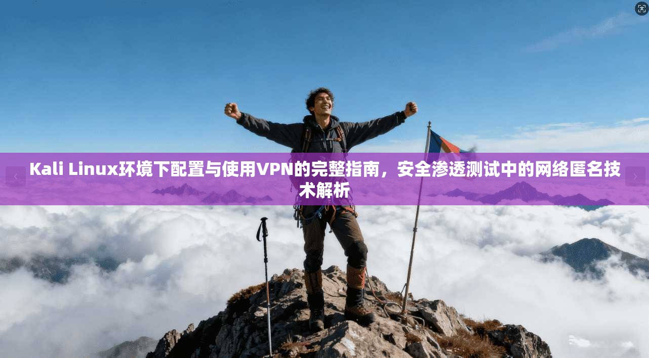 Kali Linux环境下配置与使用VPN的完整指南,安全渗透测试中的网络匿名技术解析