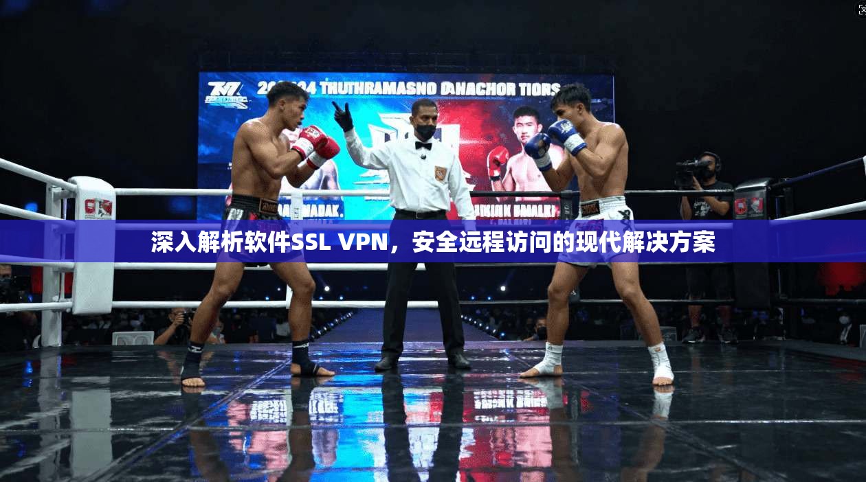 深入解析软件SSL VPN,安全远程访问的现代解决方案