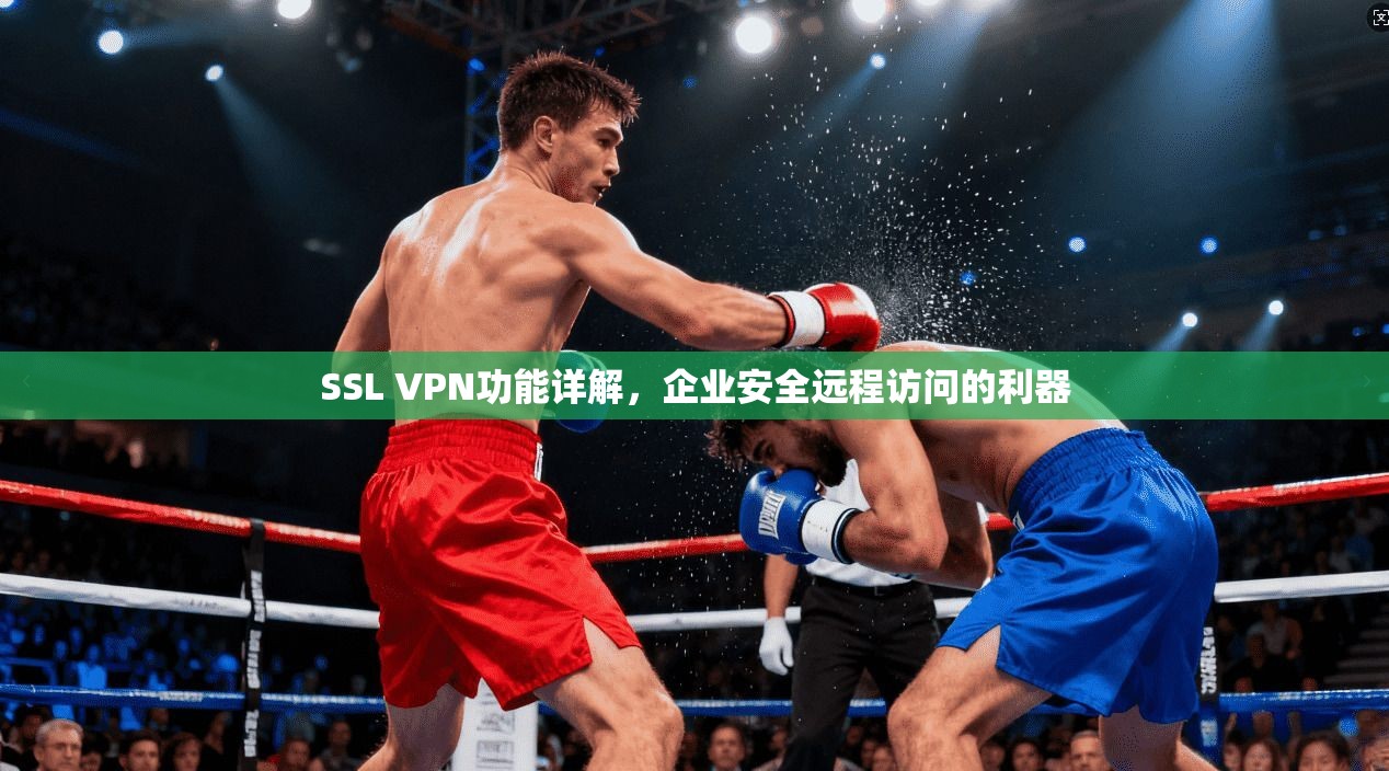 SSL VPN功能详解，企业安全远程访问的利器  第1张