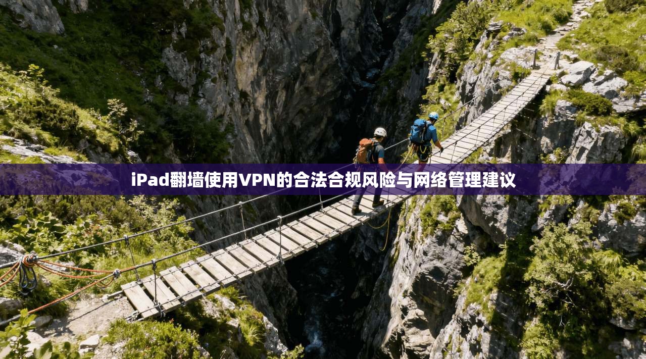 iPad翻墙使用VPN的合法合规风险与网络管理建议  第1张