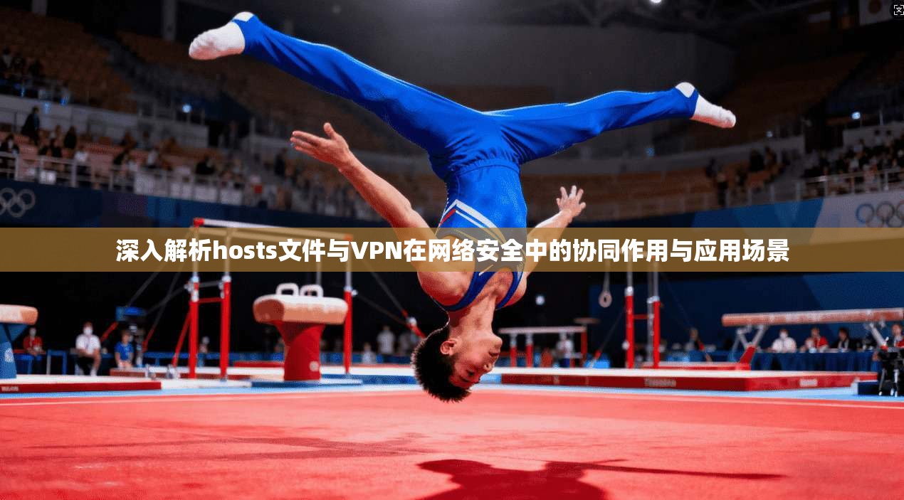 深入解析hosts文件与VPN在网络安全中的协同作用与应用场景  第1张