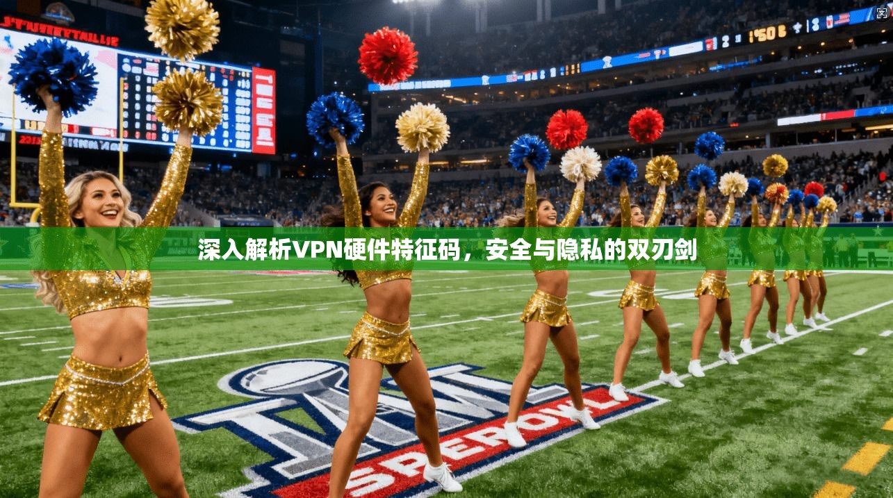 深入解析VPN硬件特征码，安全与隐私的双刃剑  第1张
