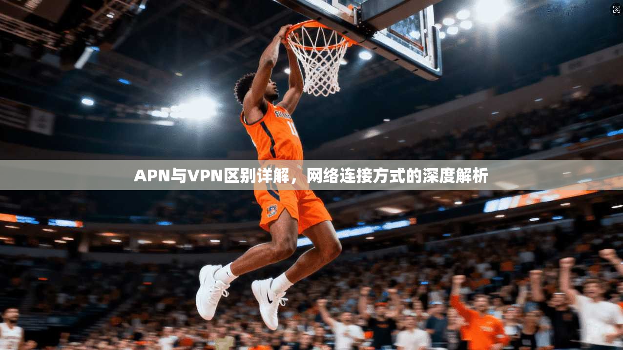 APN与VPN区别详解，网络连接方式的深度解析  第1张