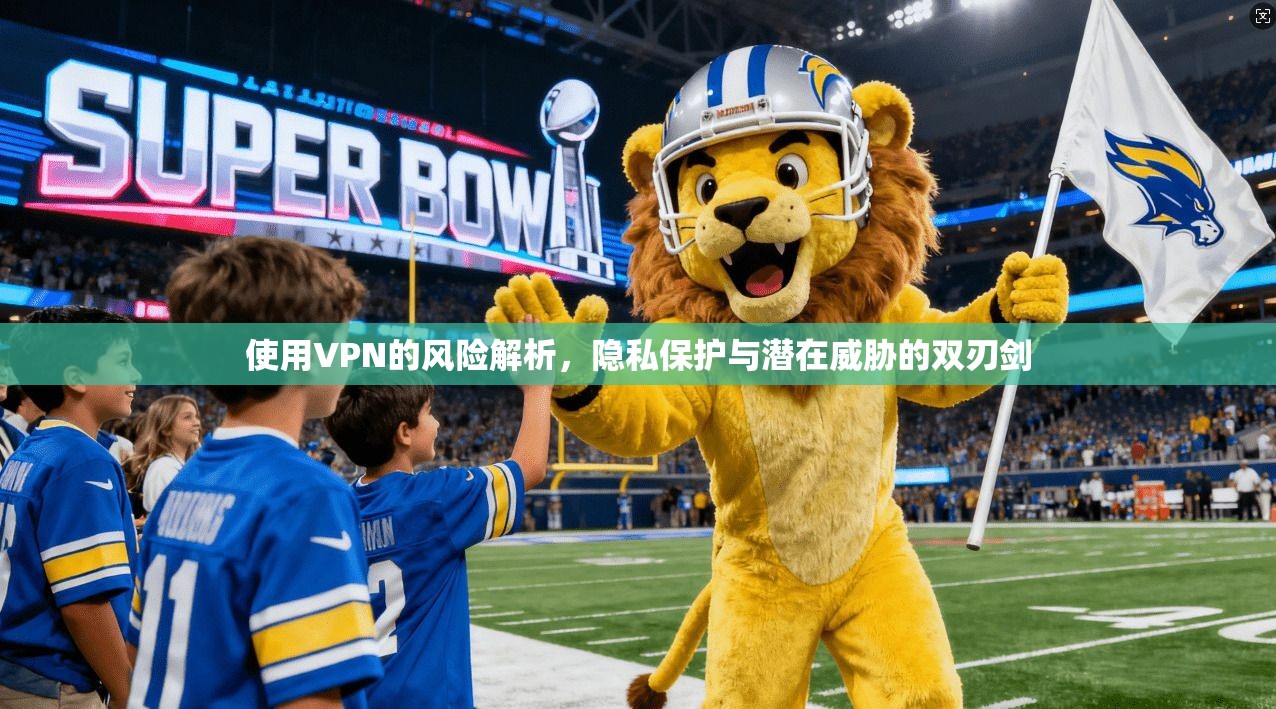 使用VPN的风险解析，隐私保护与潜在威胁的双刃剑  第1张