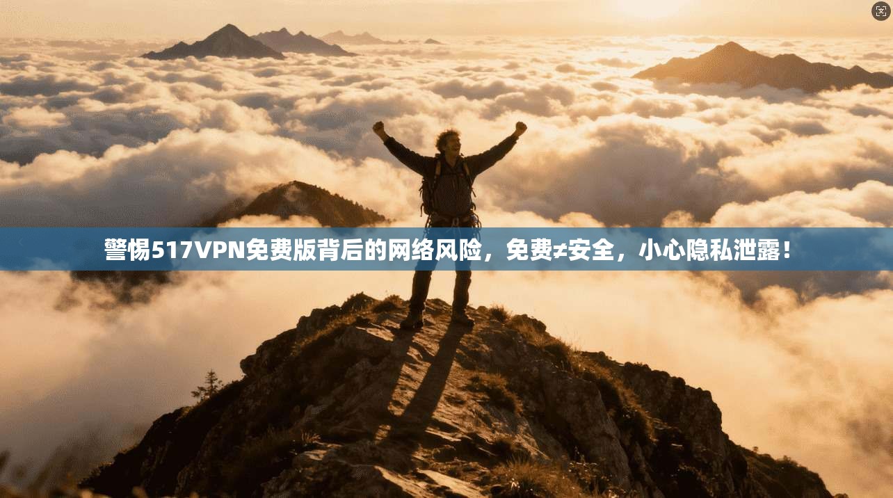 警惕517VPN免费版背后的网络风险，免费≠安全，小心隐私泄露！