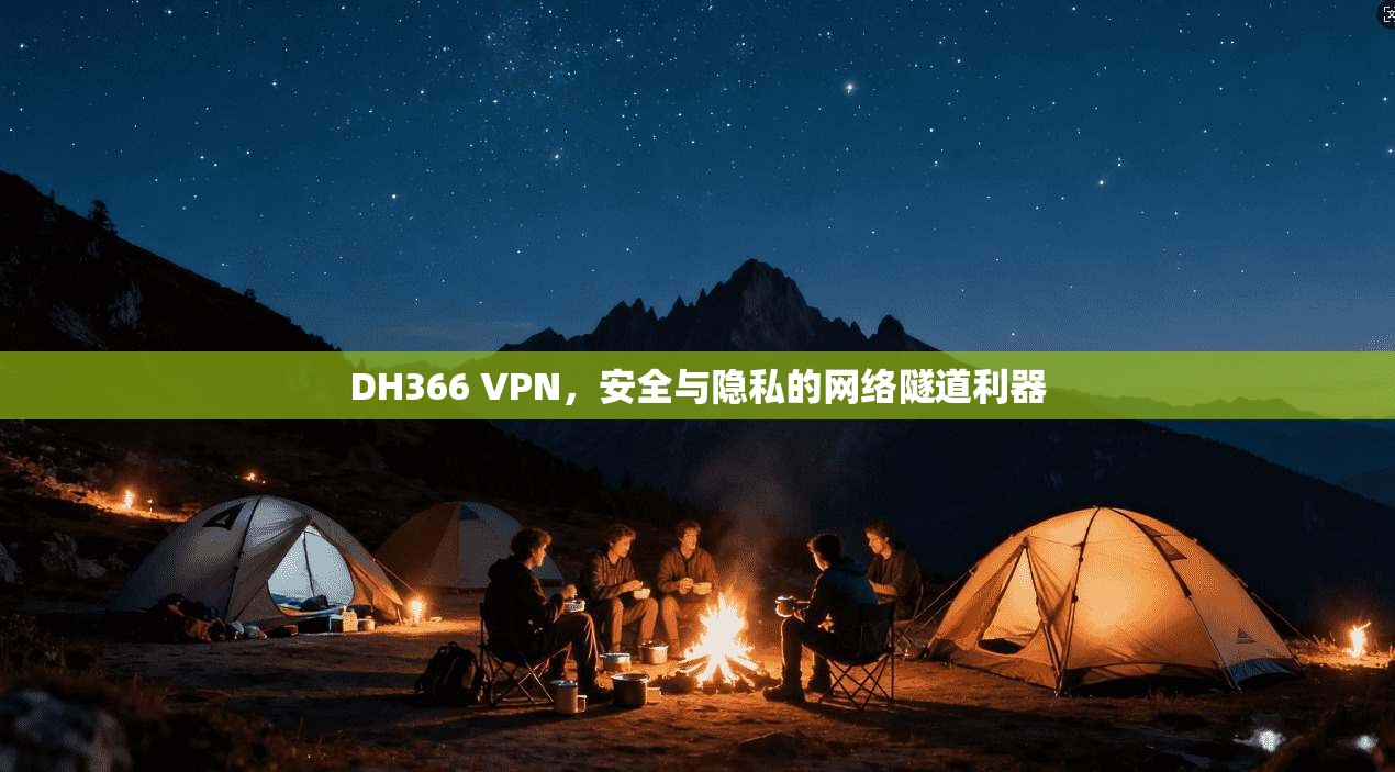DH366 VPN，安全与隐私的网络隧道利器