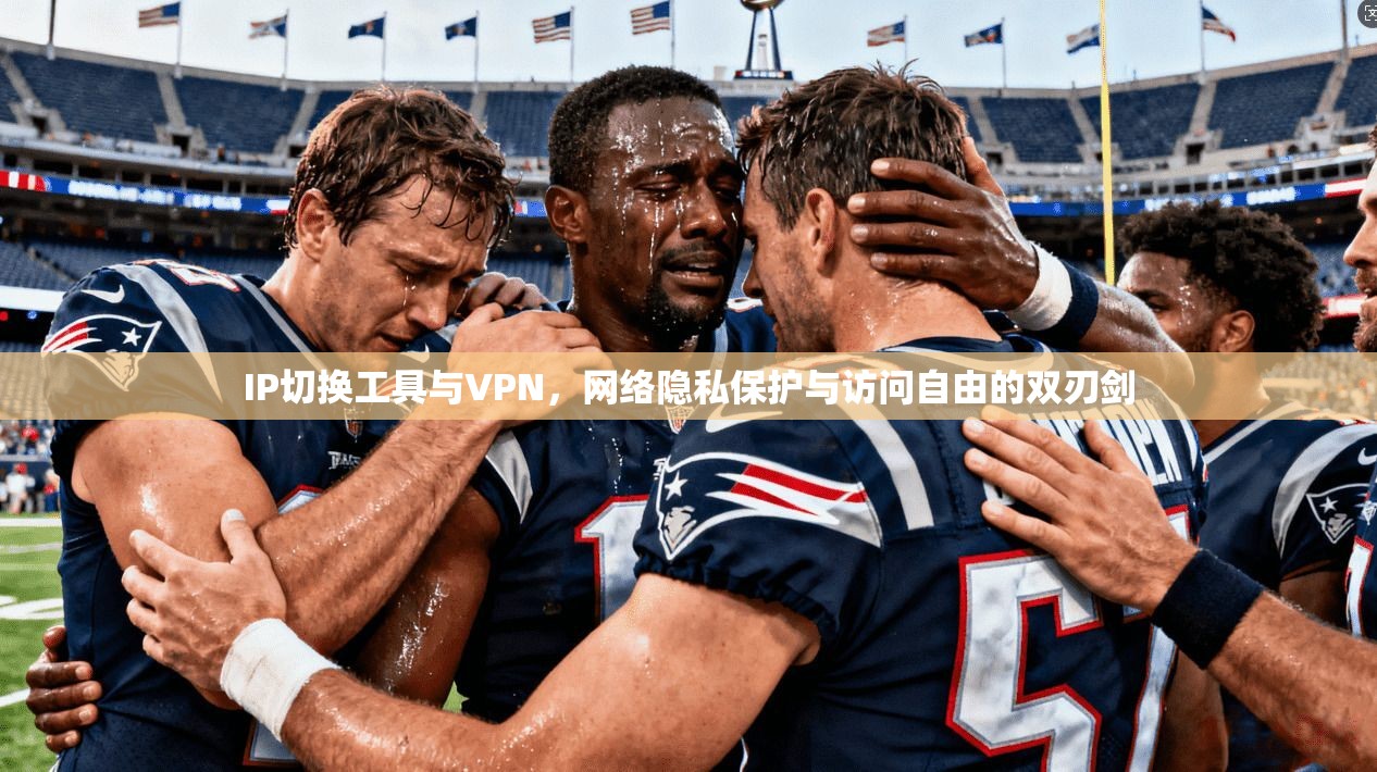 IP切换工具与VPN，网络隐私保护与访问自由的双刃剑