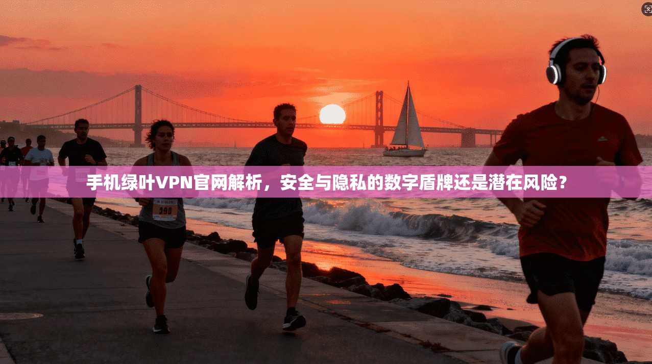 手机绿叶VPN官网解析，安全与隐私的数字盾牌还是潜在风险？