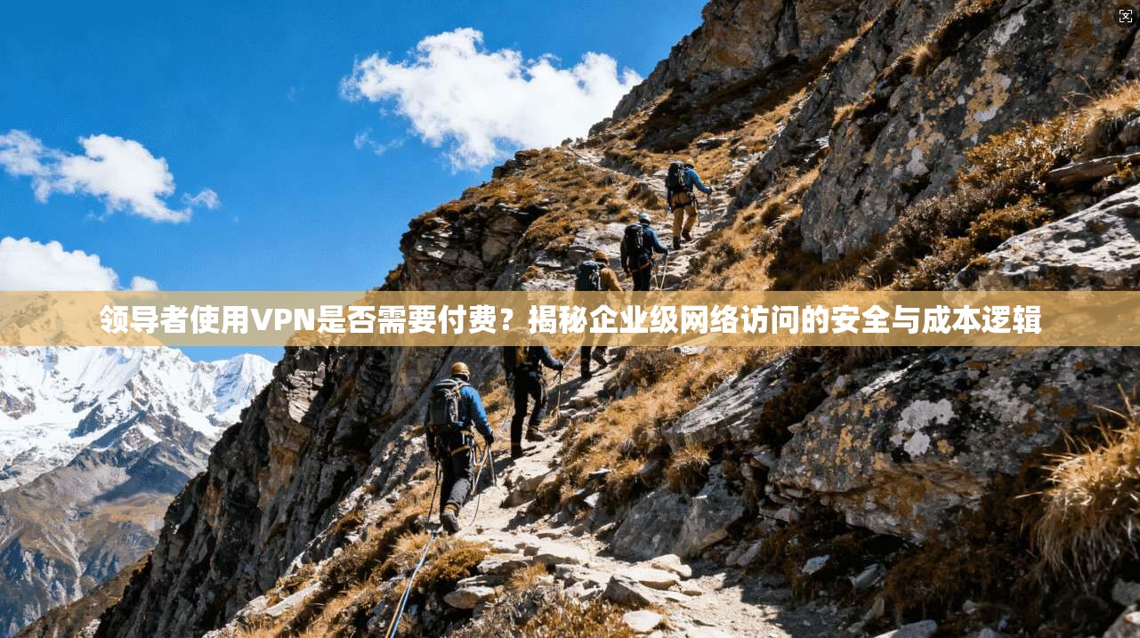 领导者使用VPN是否需要付费？揭秘企业级网络访问的安全与成本逻辑