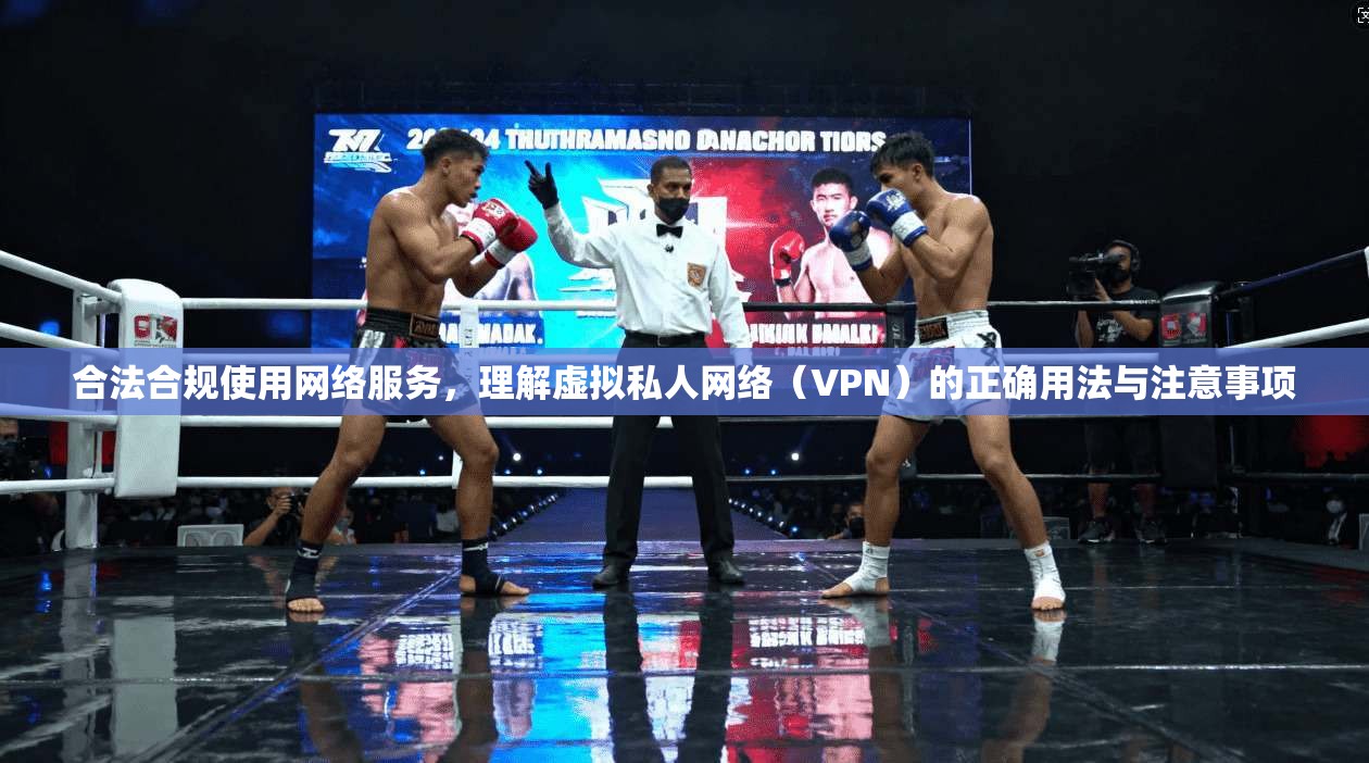合法合规使用网络服务，理解虚拟私人网络（VPN）的正确用法与注意事项