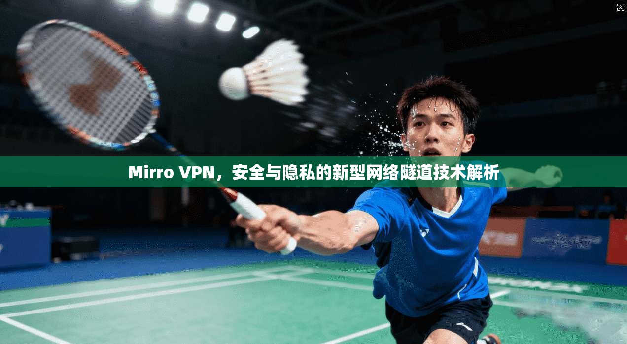 Mirro VPN，安全与隐私的新型网络隧道技术解析
