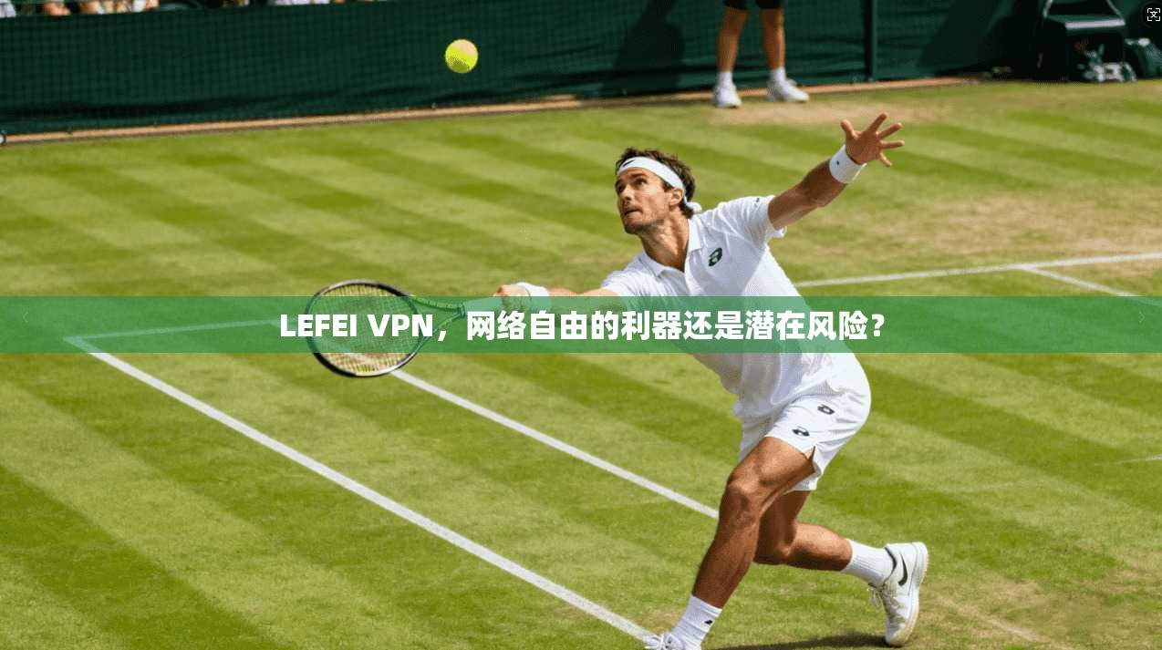 LEFEI VPN，网络自由的利器还是潜在风险？