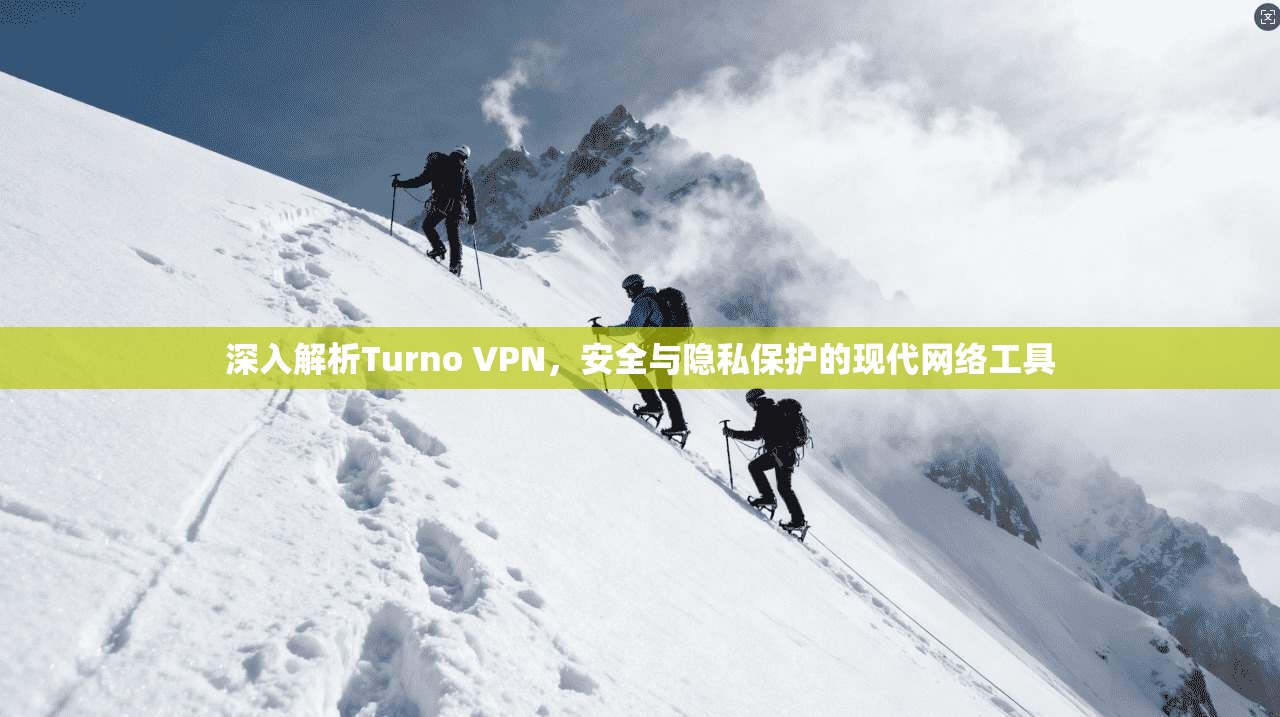 深入解析Turno VPN，安全与隐私保护的现代网络工具