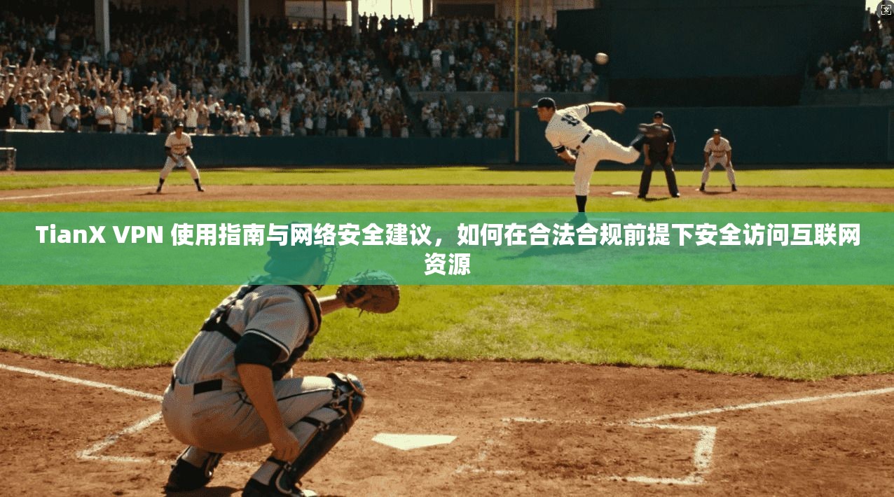 TianX VPN 使用指南与网络安全建议，如何在合法合规前提下安全访问互联网资源