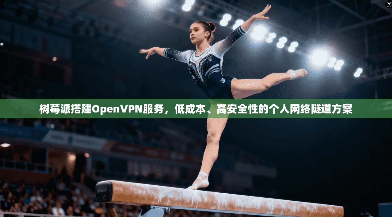 树莓派搭建OpenVPN服务，低成本、高安全性的个人网络隧道方案