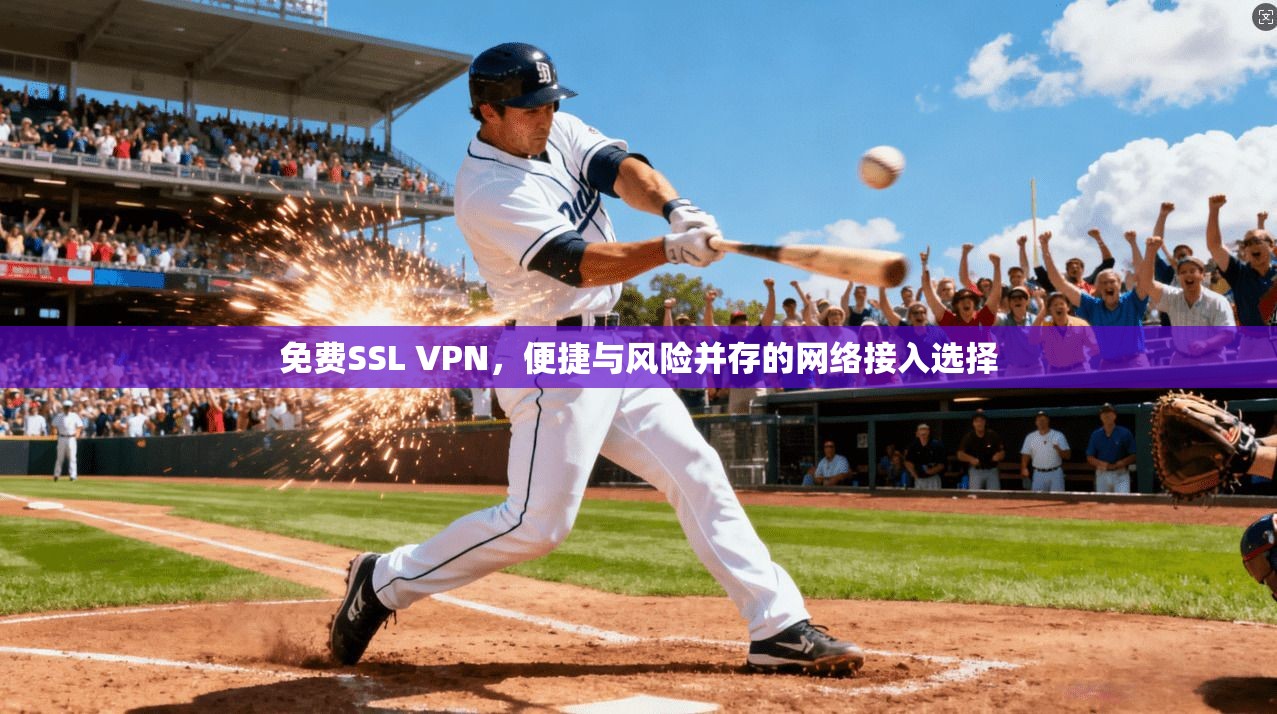 免费SSL VPN，便捷与风险并存的网络接入选择