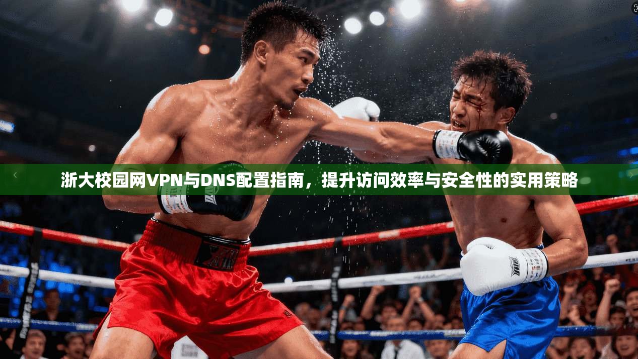 浙大校园网VPN与DNS配置指南，提升访问效率与安全性的实用策略