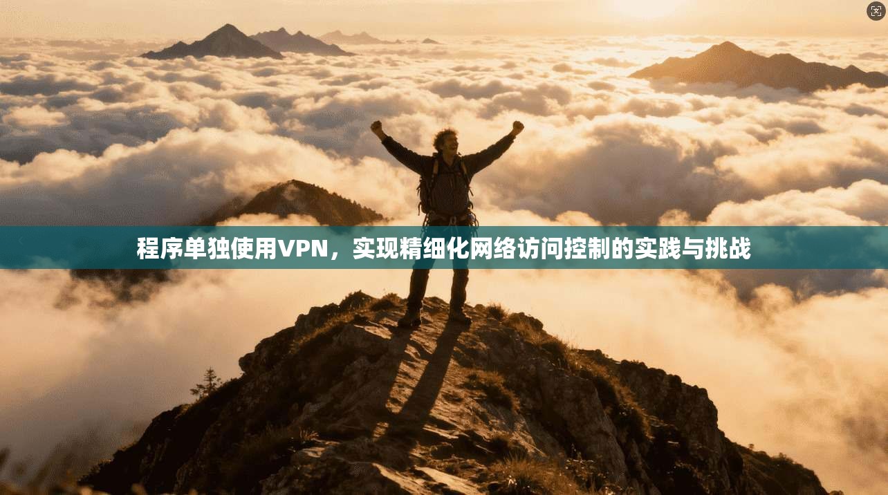 程序单独使用VPN，实现精细化网络访问控制的实践与挑战  第1张