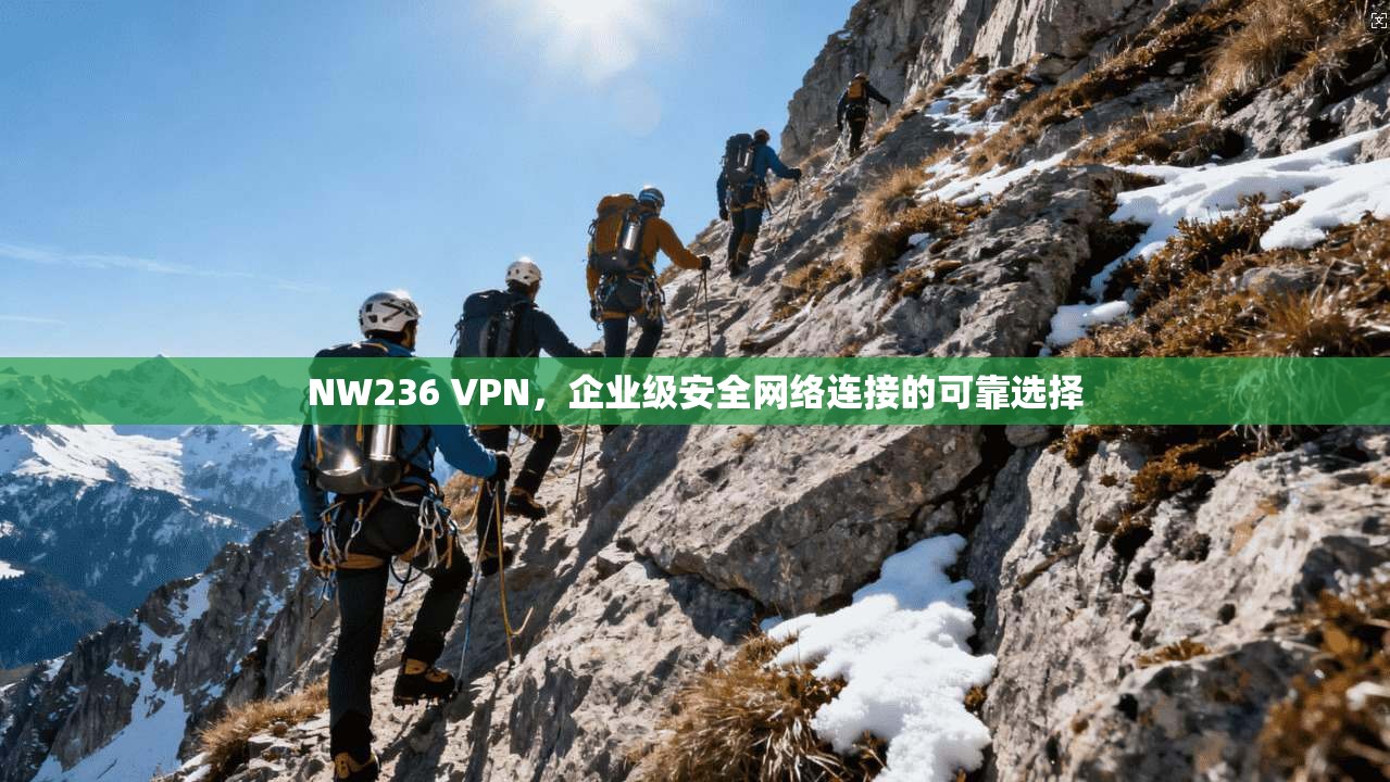 NW236 VPN，企业级安全网络连接的可靠选择