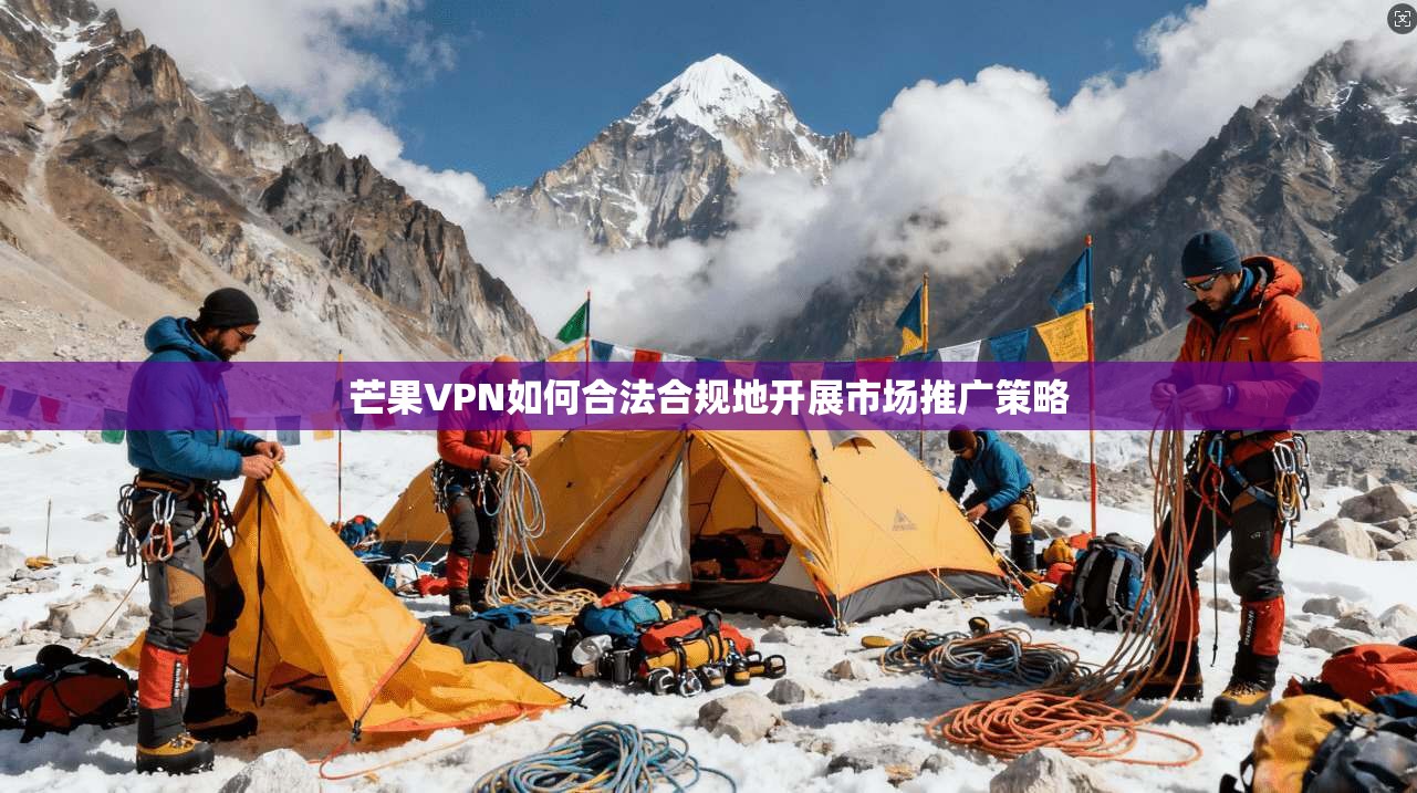 芒果VPN如何合法合规地开展市场推广策略
