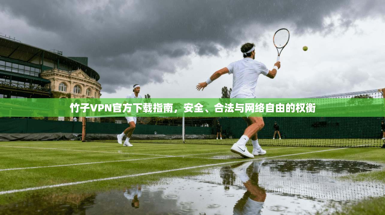 竹子VPN官方下载指南，安全、合法与网络自由的权衡