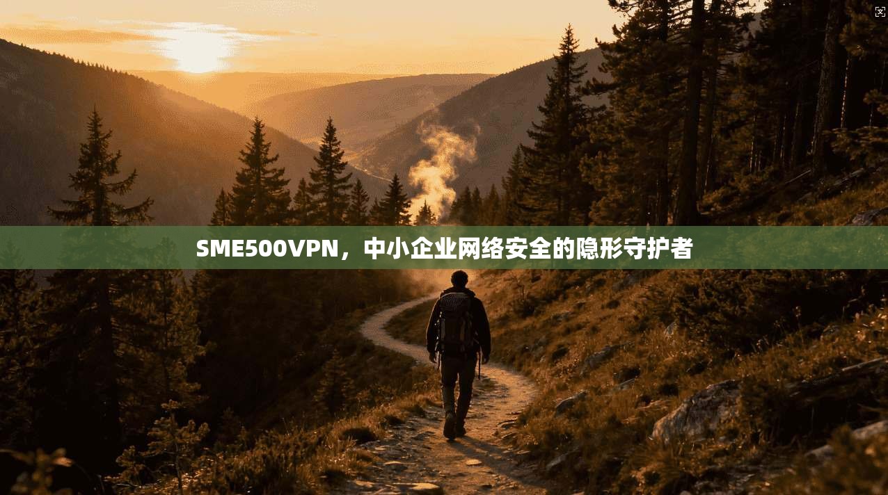 SME500VPN，中小企业网络安全的隐形守护者