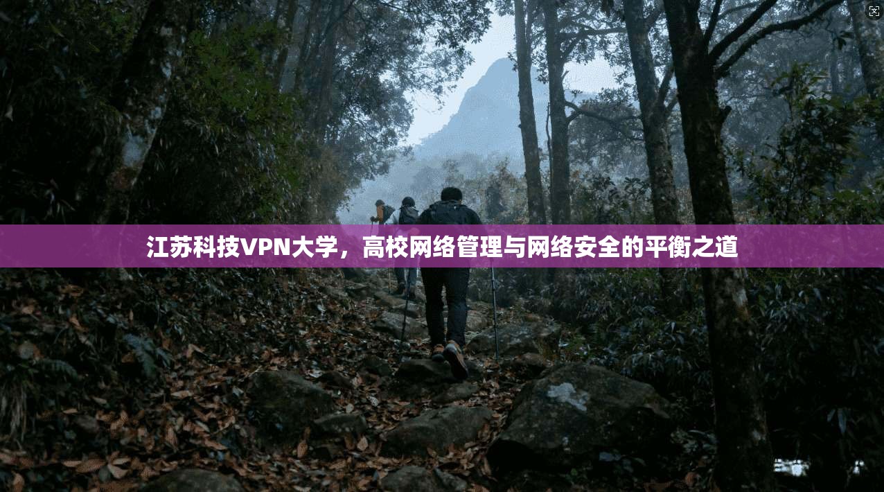 江苏科技VPN大学，高校网络管理与网络安全的平衡之道