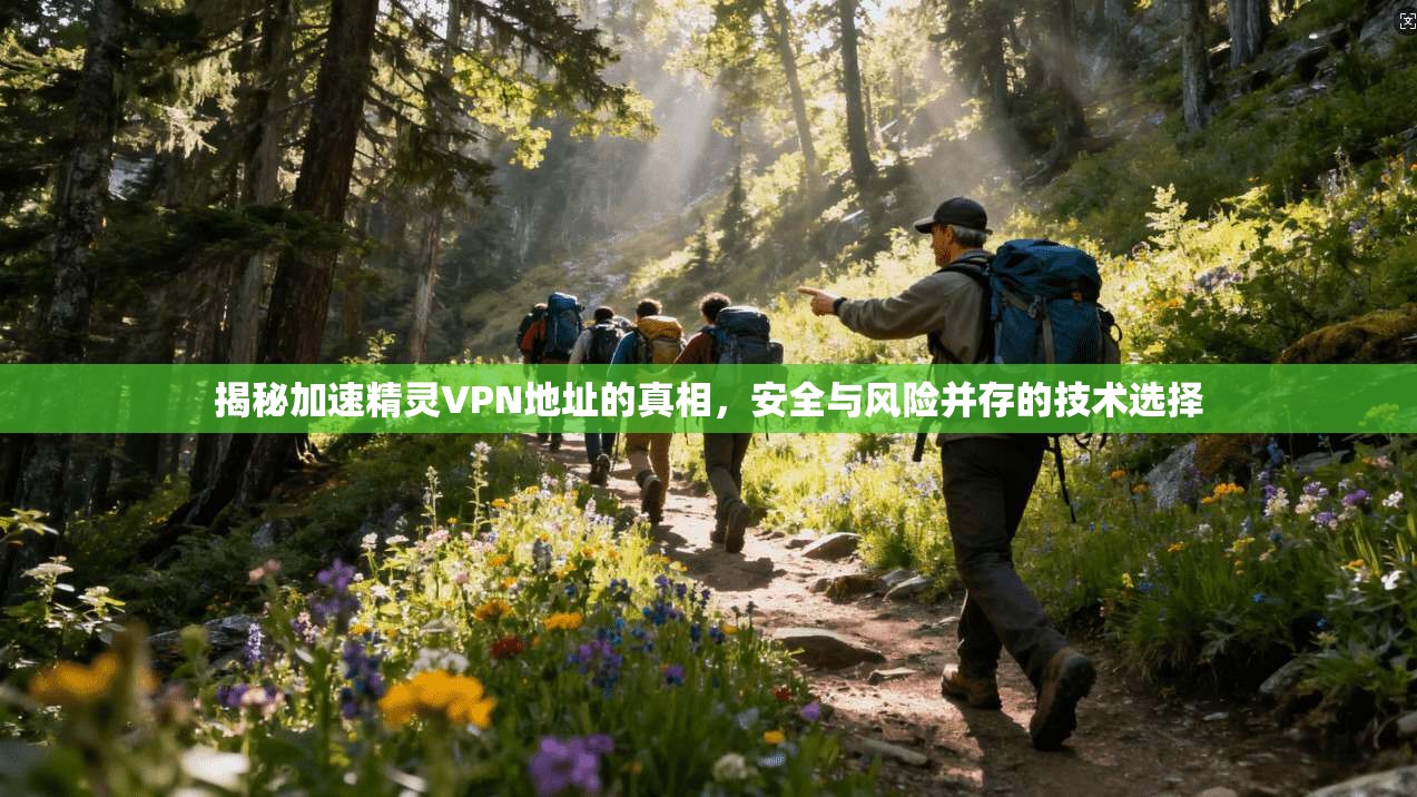 揭秘加速精灵VPN地址的真相，安全与风险并存的技术选择