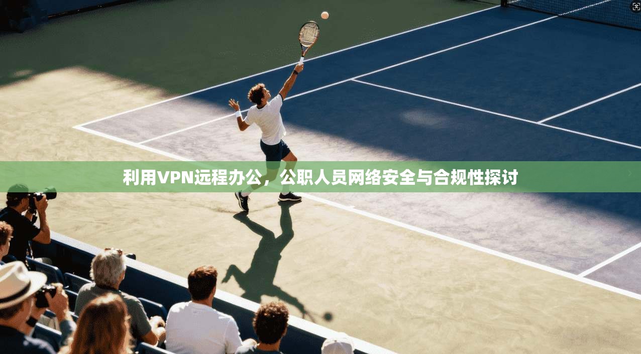 利用VPN远程办公，公职人员网络安全与合规性探讨