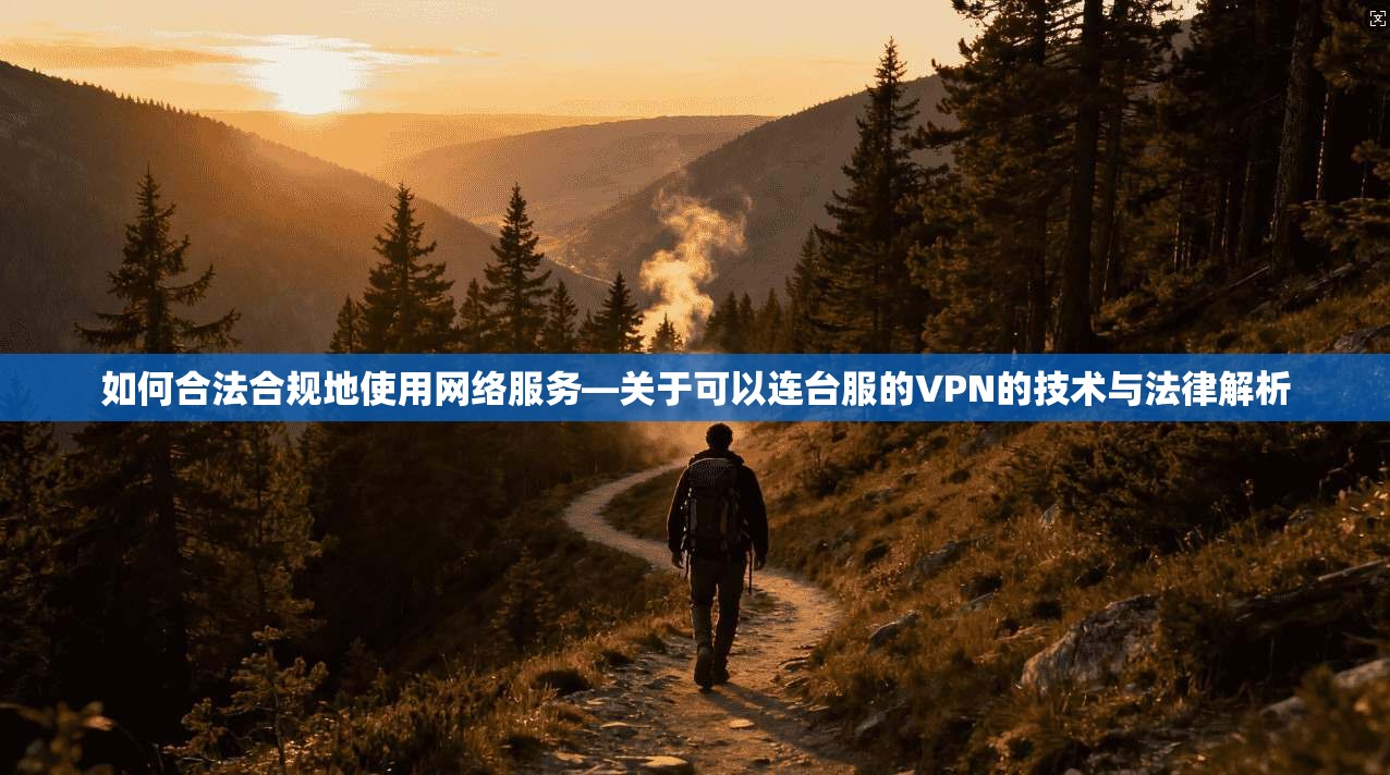 如何合法合规地使用网络服务—关于可以连台服的VPN的技术与法律解析