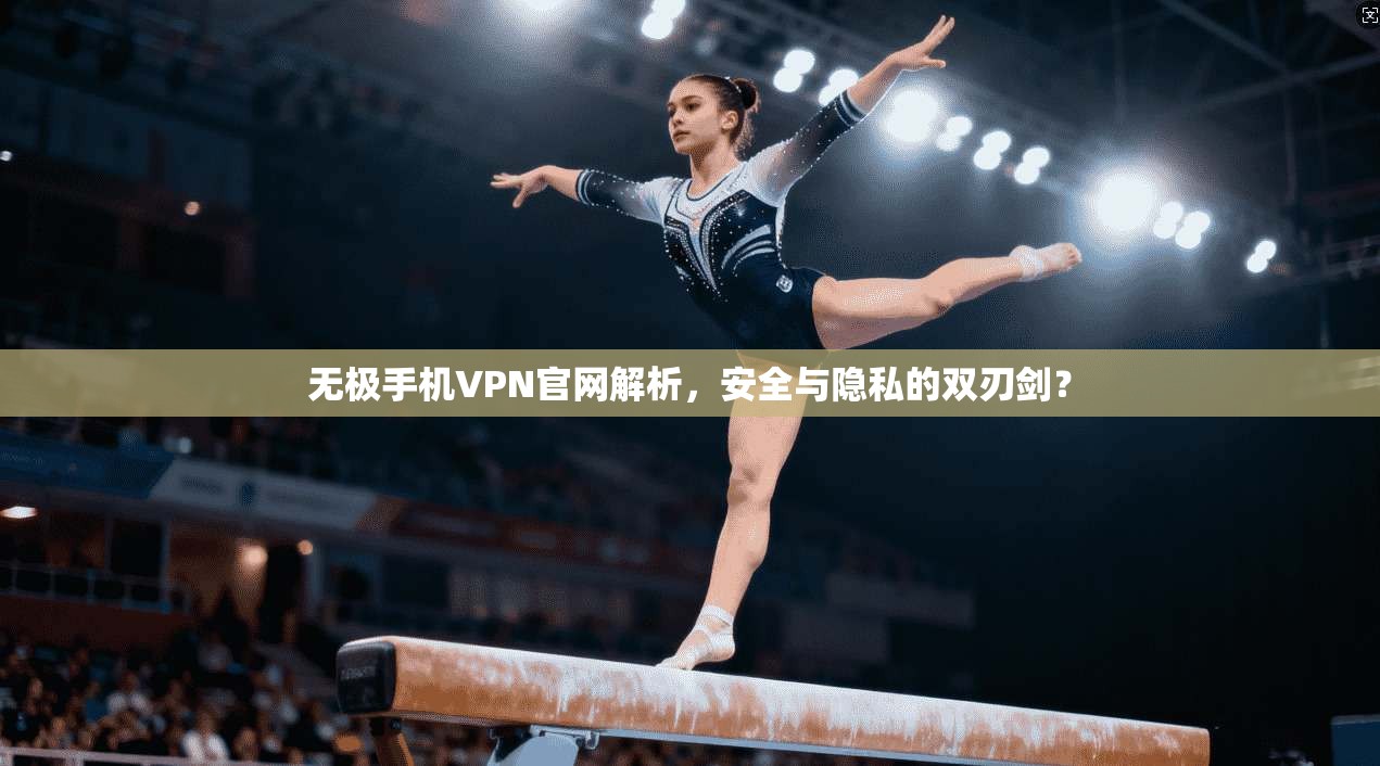 无极手机VPN官网解析，安全与隐私的双刃剑？