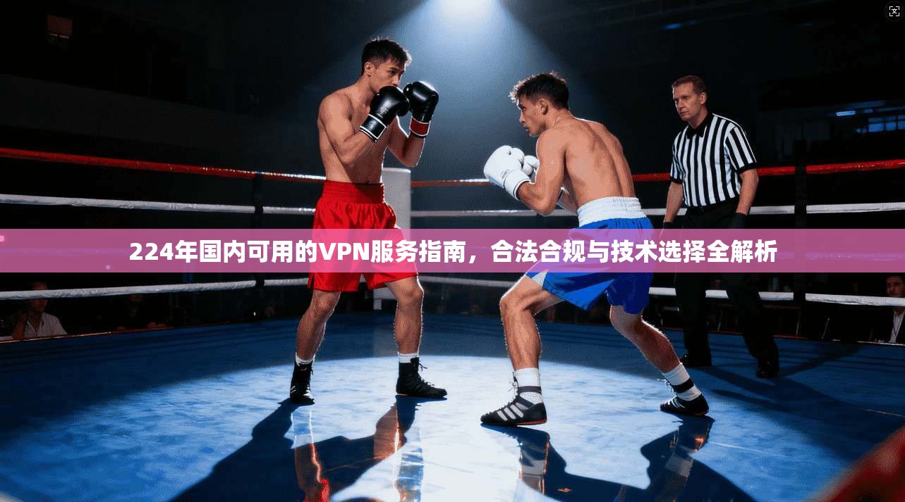 224年国内可用的VPN服务指南，合法合规与技术选择全解析