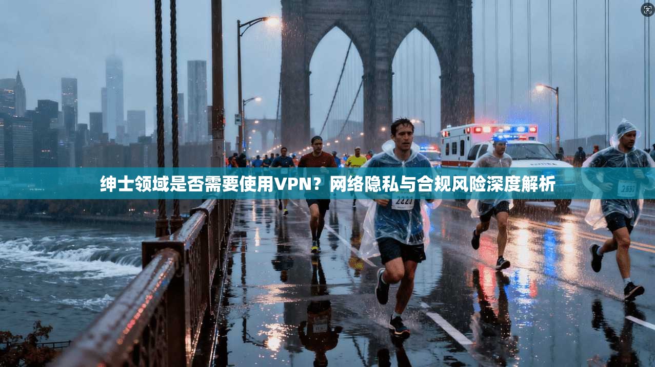 绅士领域是否需要使用VPN？网络隐私与合规风险深度解析