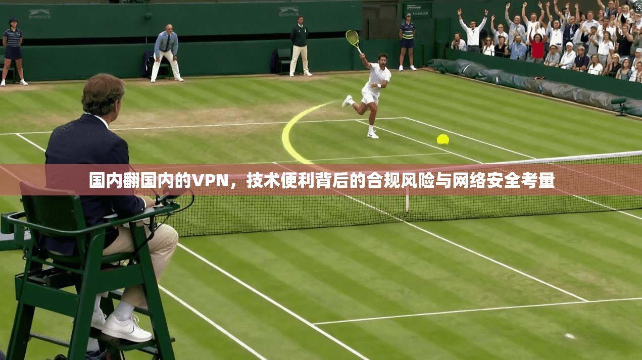 国内翻国内的VPN，技术便利背后的合规风险与网络安全考量