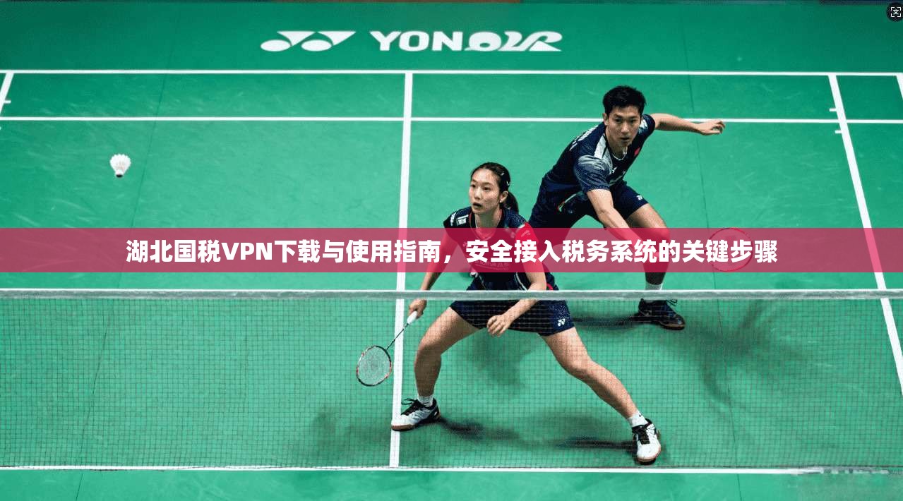 湖北国税VPN下载与使用指南，安全接入税务系统的关键步骤