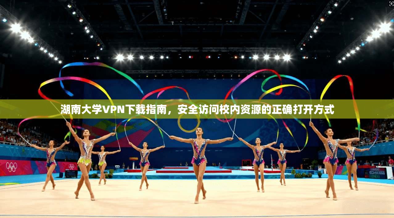 湖南大学VPN下载指南，安全访问校内资源的正确打开方式