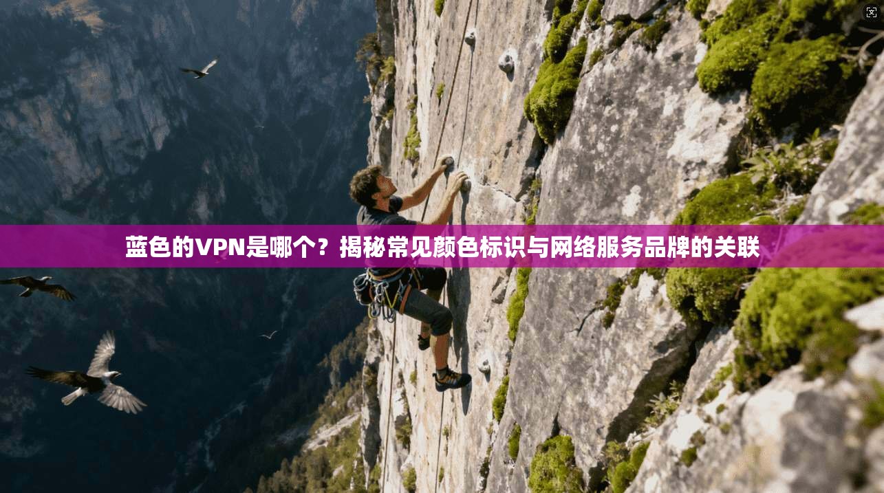 蓝色的VPN是哪个？揭秘常见颜色标识与网络服务品牌的关联