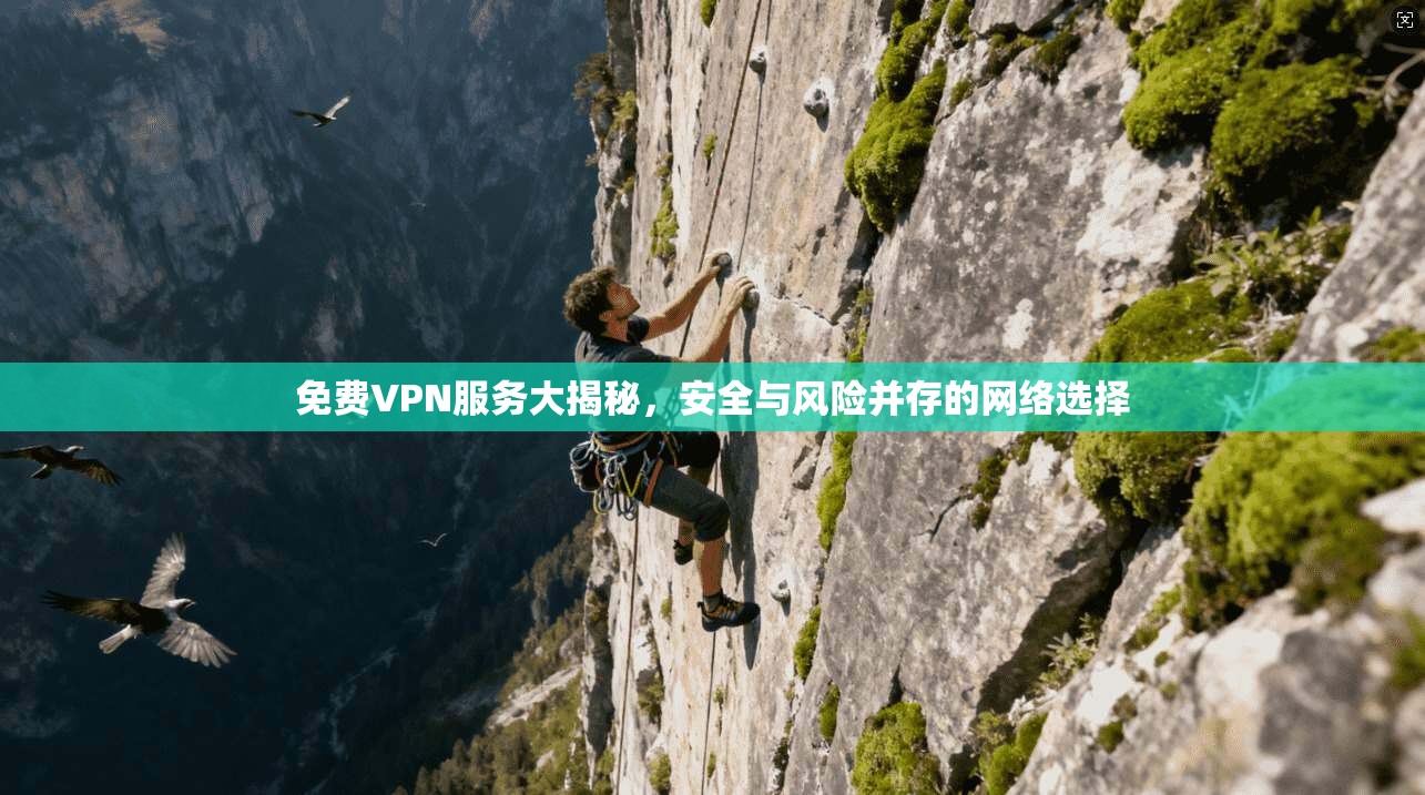 免费VPN服务大揭秘，安全与风险并存的网络选择