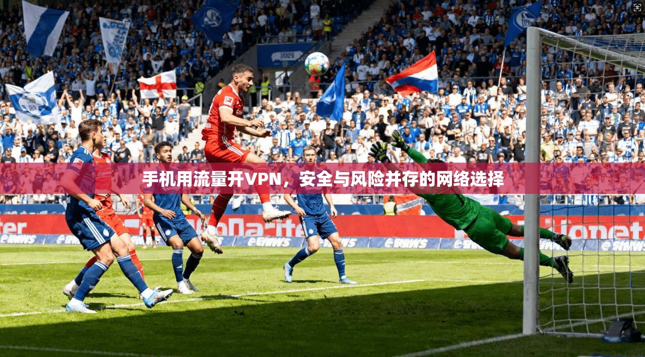 手机用流量开VPN，安全与风险并存的网络选择