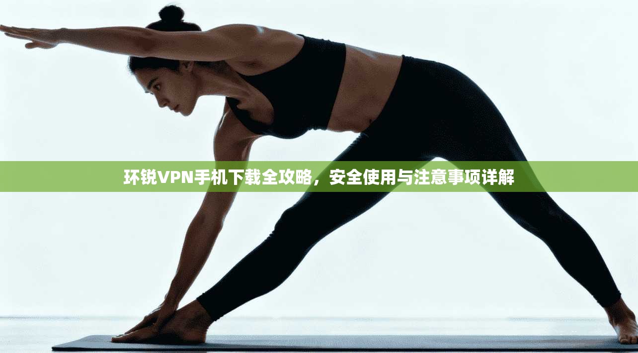 环锐VPN手机下载全攻略，安全使用与注意事项详解