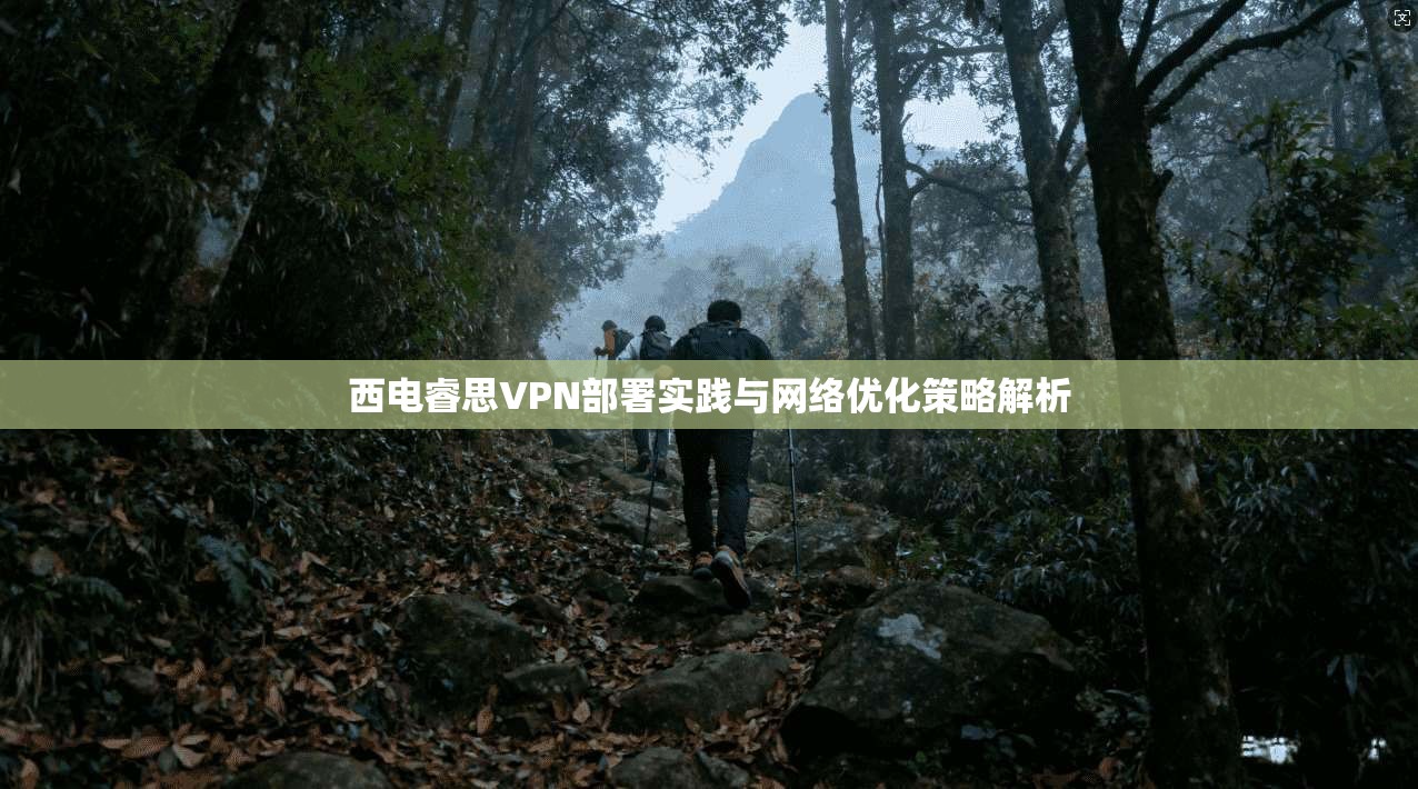 西电睿思VPN部署实践与网络优化策略解析