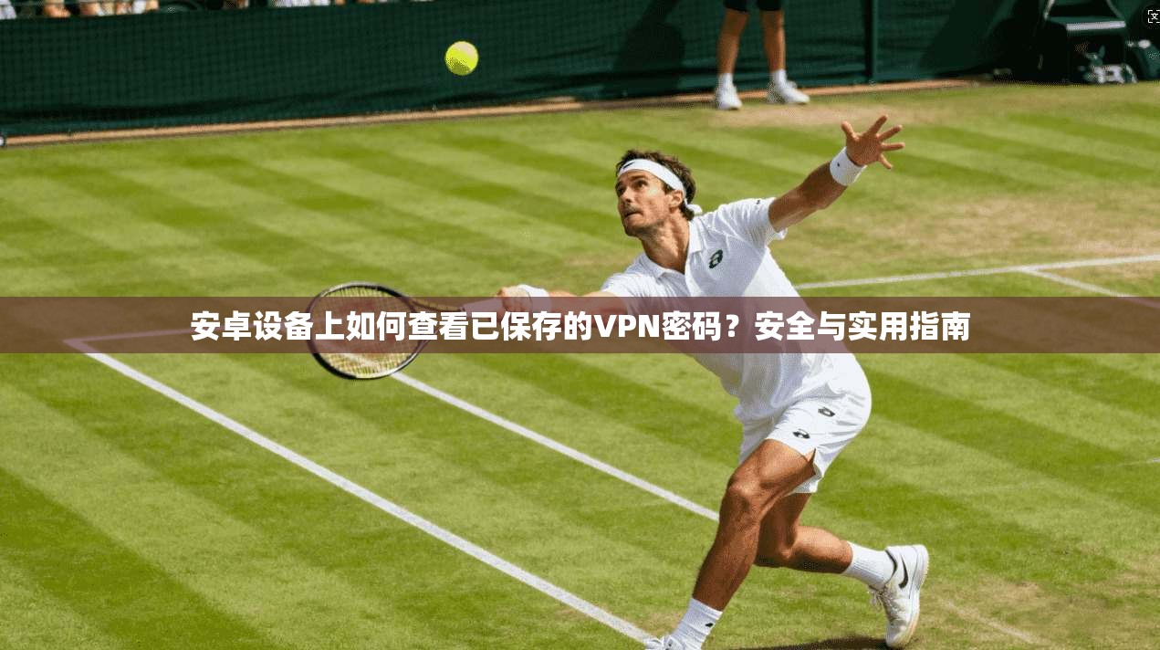 安卓设备上如何查看已保存的VPN密码？安全与实用指南
