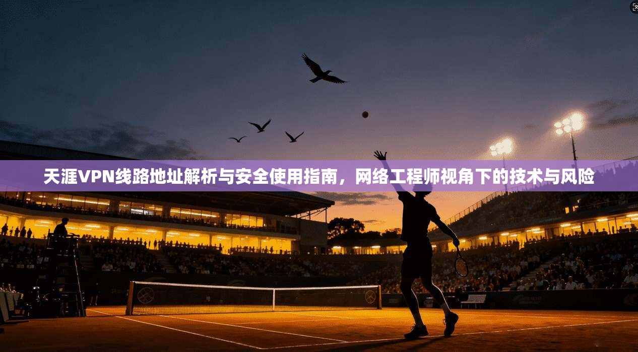 天涯VPN线路地址解析与安全使用指南，网络工程师视角下的技术与风险