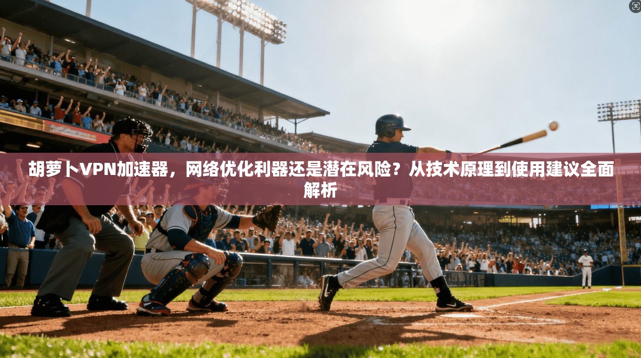 胡萝卜VPN加速器，网络优化利器还是潜在风险？从技术原理到使用建议全面解析