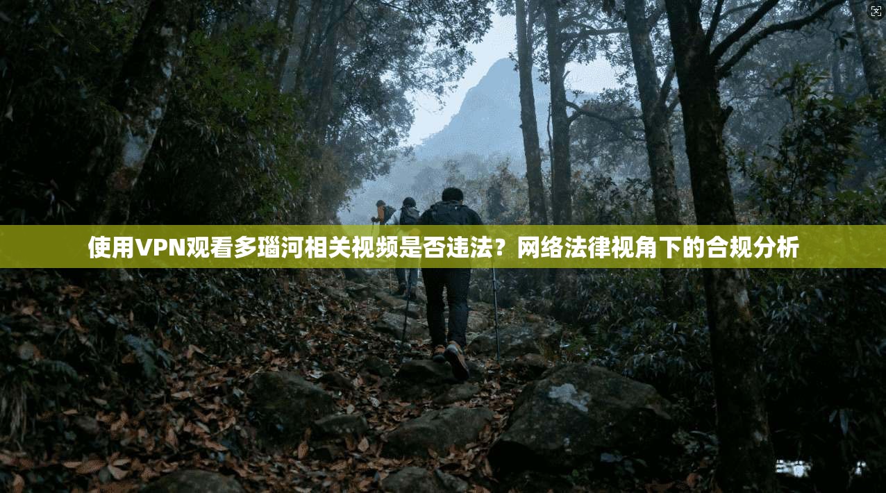使用VPN观看多瑙河相关视频是否违法？网络法律视角下的合规分析