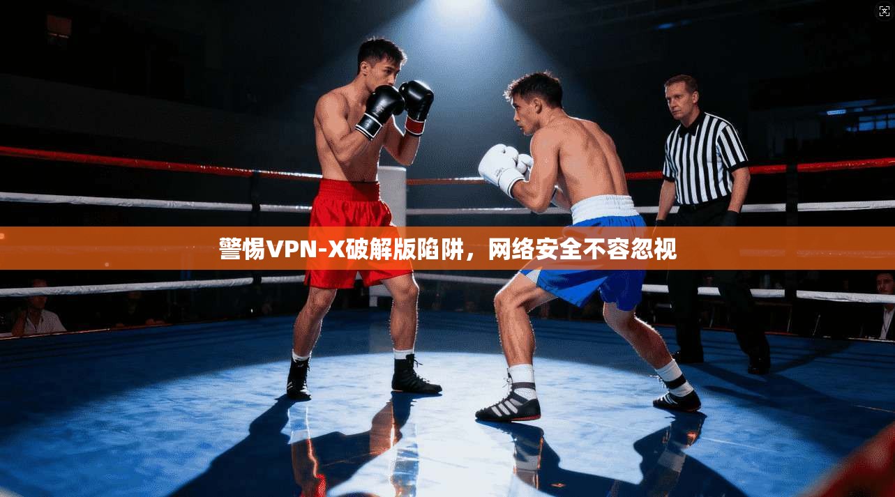 警惕VPN-X破解版陷阱，网络安全不容忽视