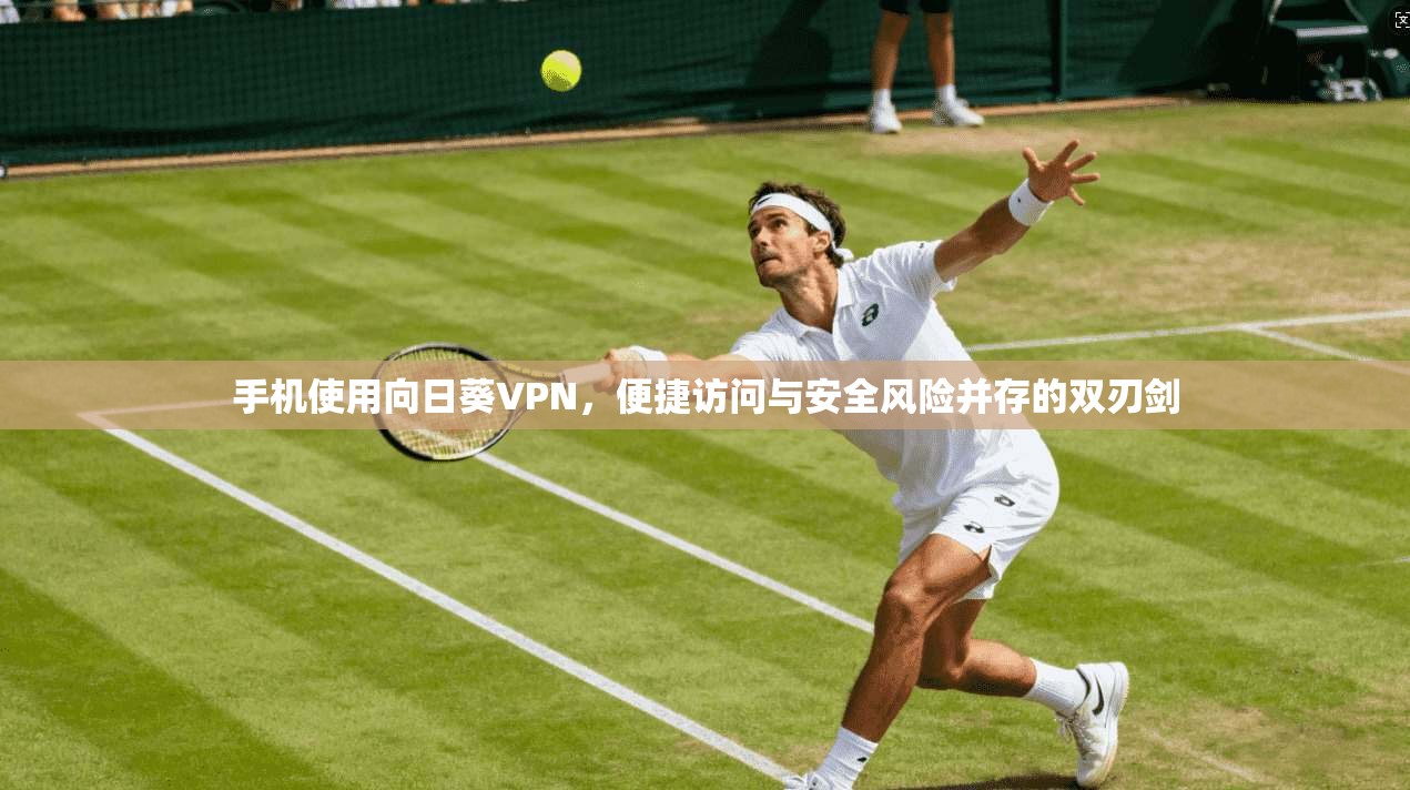 手机使用向日葵VPN，便捷访问与安全风险并存的双刃剑
