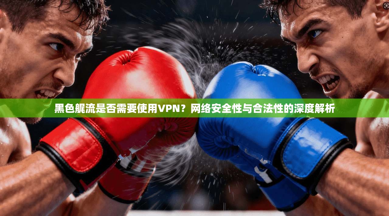 黑色艉流是否需要使用VPN？网络安全性与合法性的深度解析