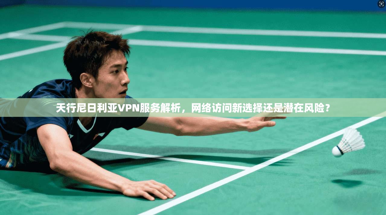 天行尼日利亚VPN服务解析，网络访问新选择还是潜在风险？